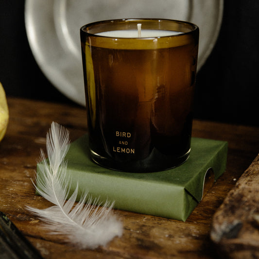 Perfumer H Bird and Lemon Candle