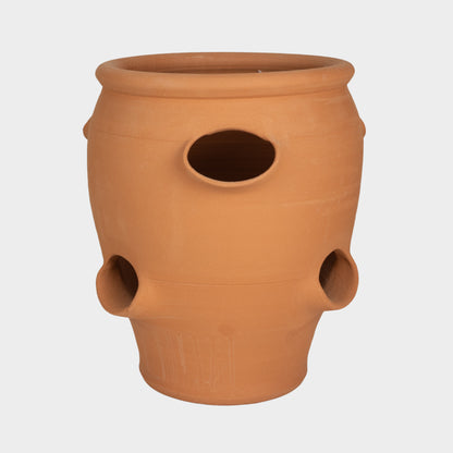 English Terracotta Strawberry Barrel