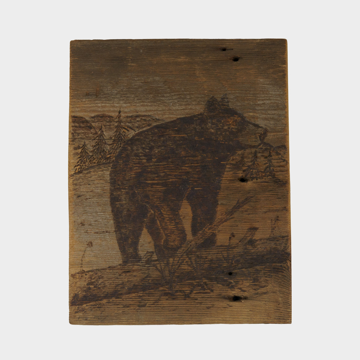 Antique Wood Burned Panel of Bear