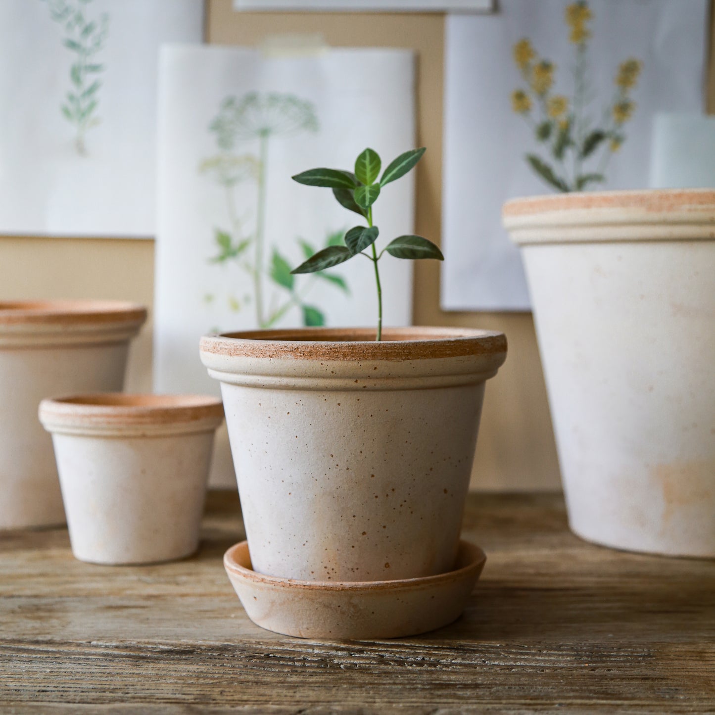 Bergs Flora Pot
