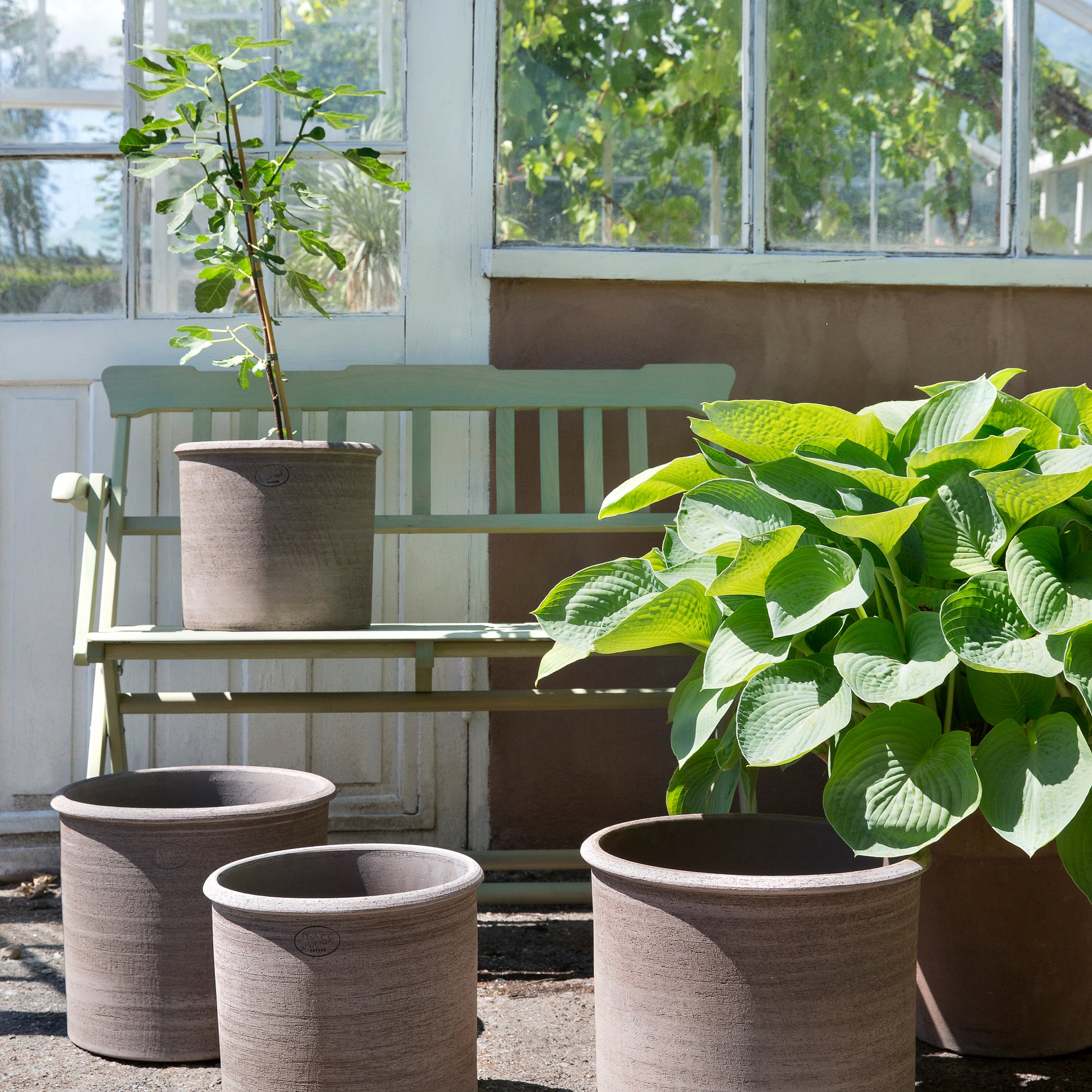 Stop Killing Your Houseplants With the Wrong Pots