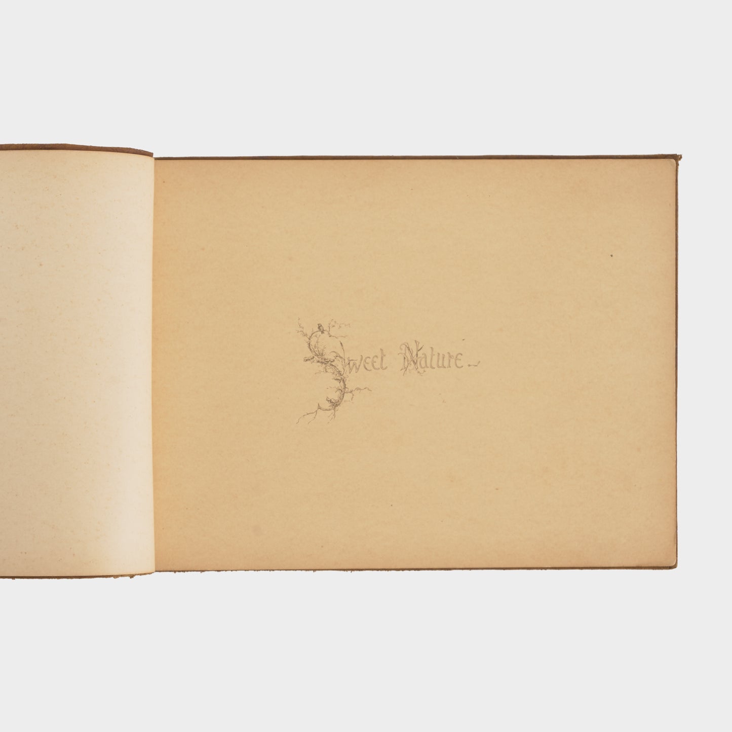 Antique "Sweet Nature" Book of Poems, 1800s
