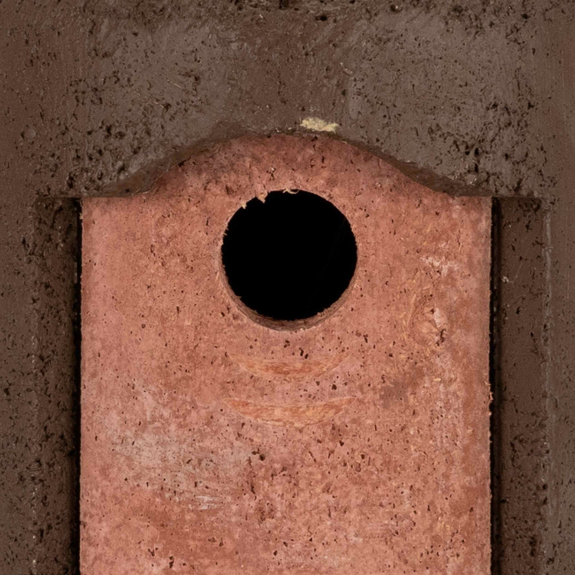 Brutalist Birdhouse- Suspended Cone- 1.50" Entrance