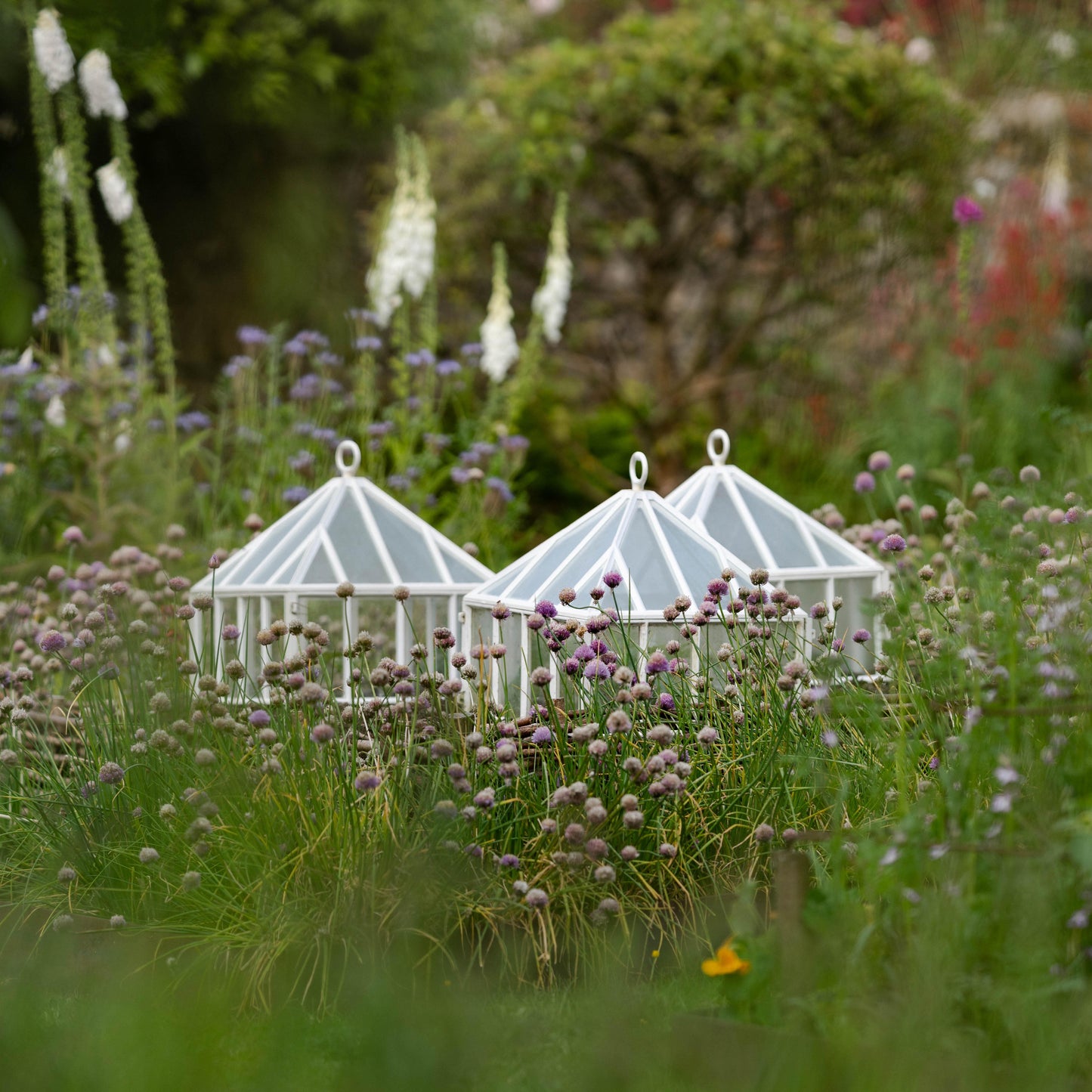 English Cast Iron Victorian Square Lantern cloche