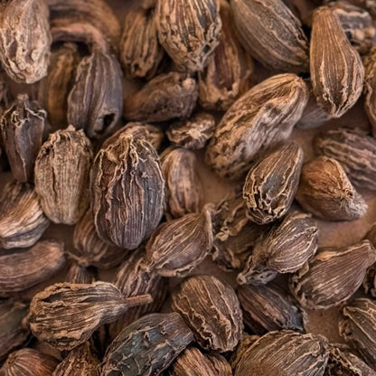 Exploration Trio Spice Set