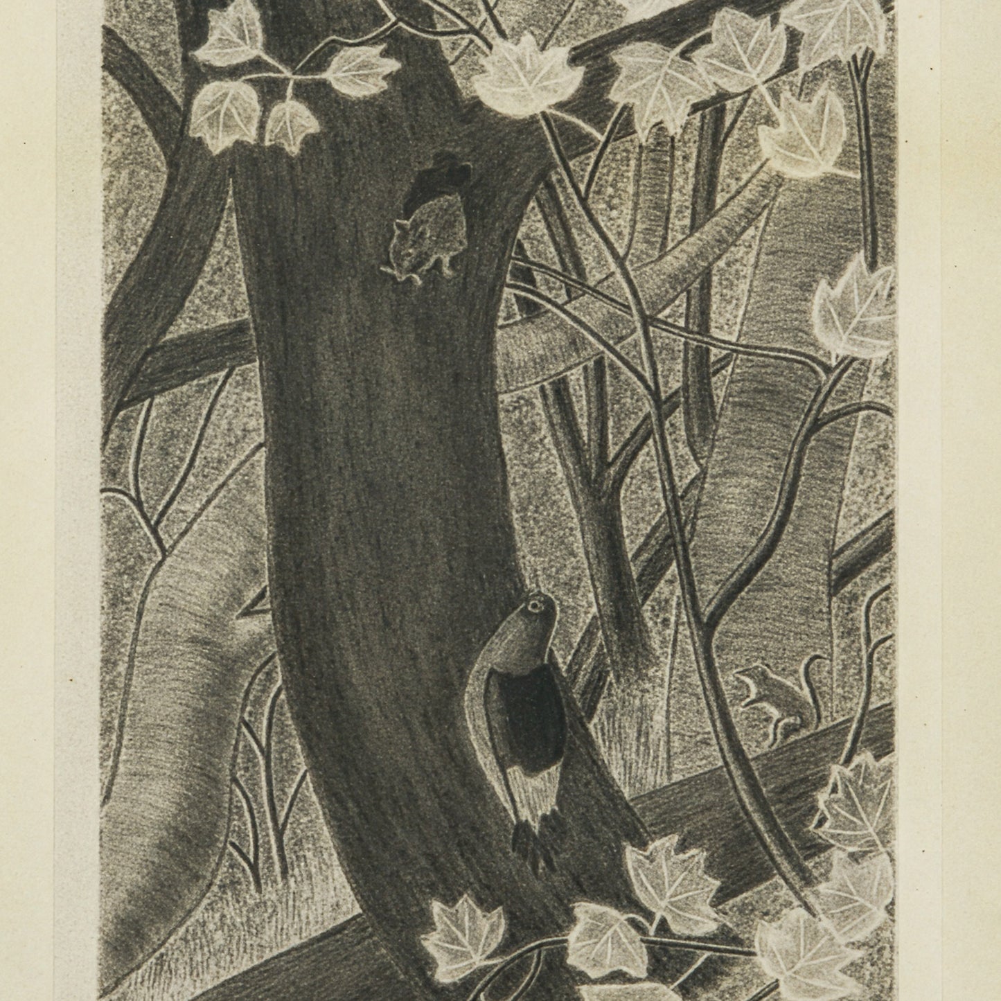Antique Charcoal Drawing of Forest Creatures "Who's That Knocking", 1891