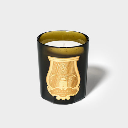 Trudon Carmélite Candle (Old Mossy Walls)