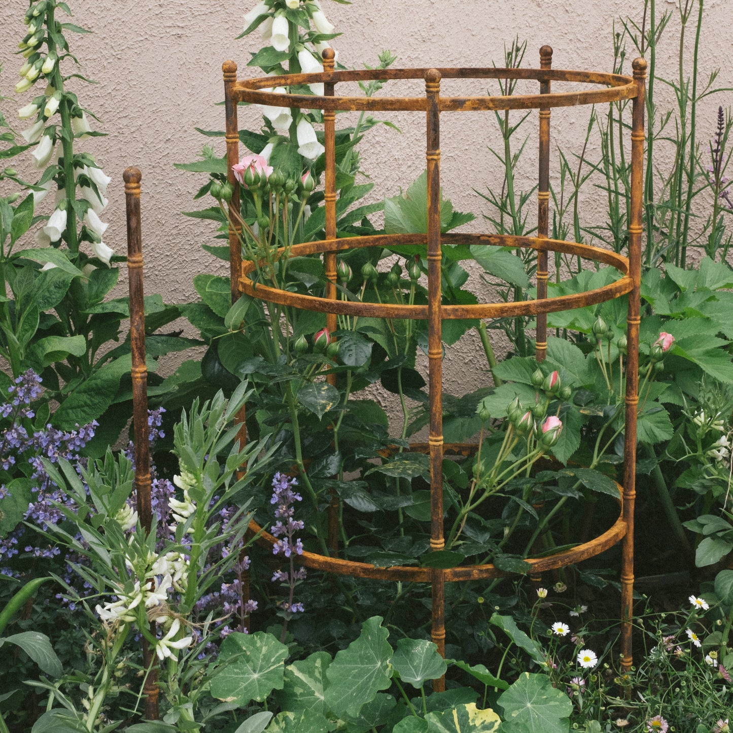 Pavilion Plant Support