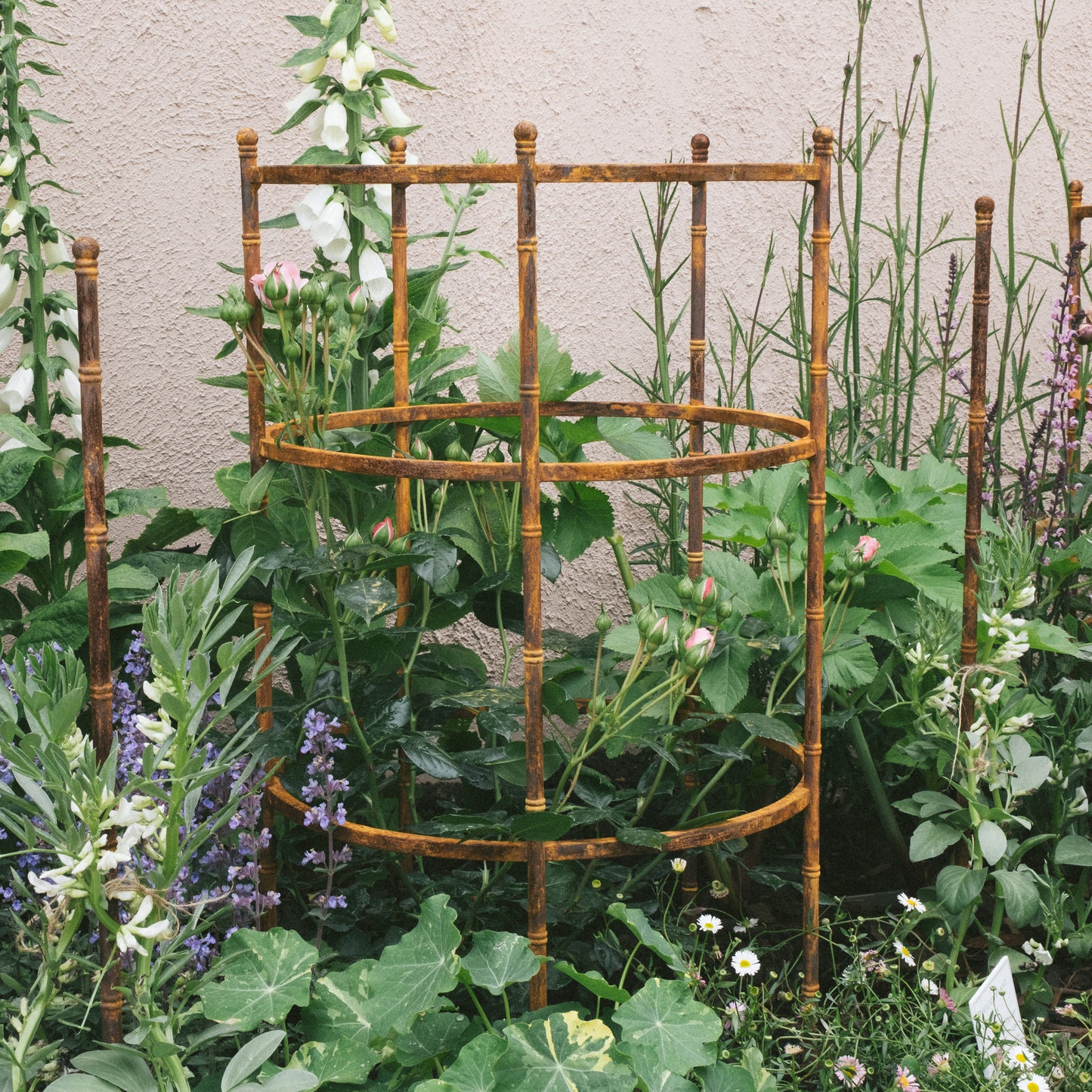 Pavilion Plant Support