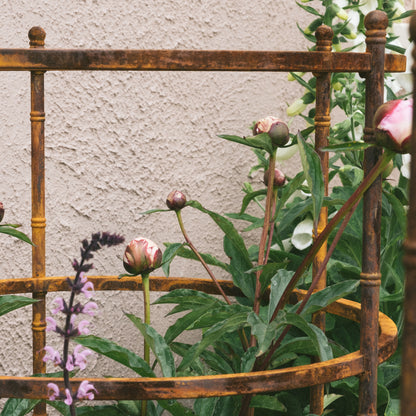 Pavilion Plant Support