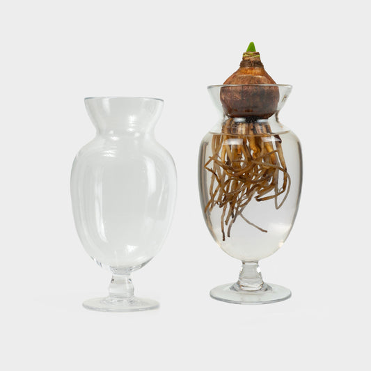 Mouth Blown Hyacinth Bulb Forcing Vase