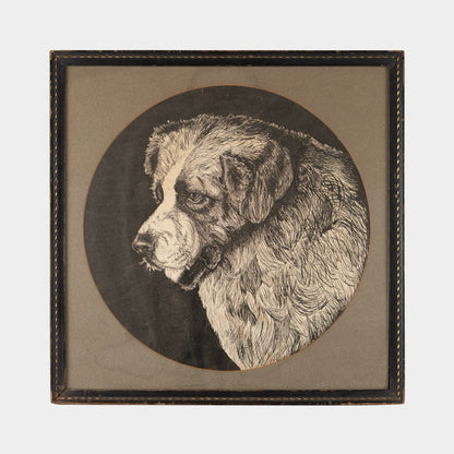 Vintage Saint Bernard Ink Drawing, 1940s