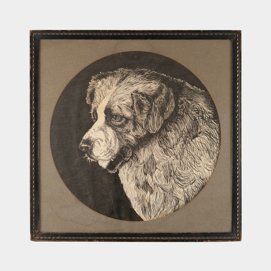 Vintage Saint Bernard Ink Drawing, 1940s