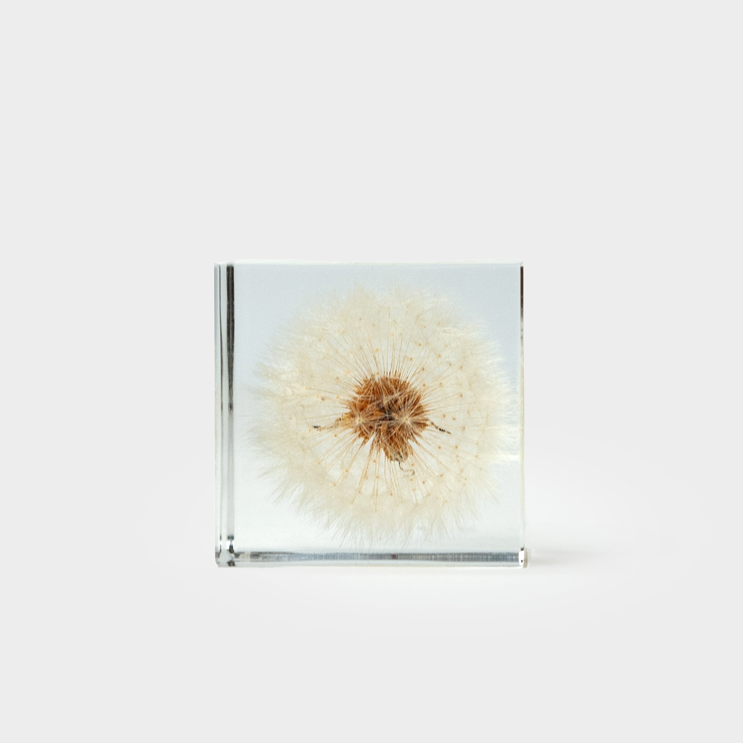 Japanese Botanical Paperweights – Gardenheir