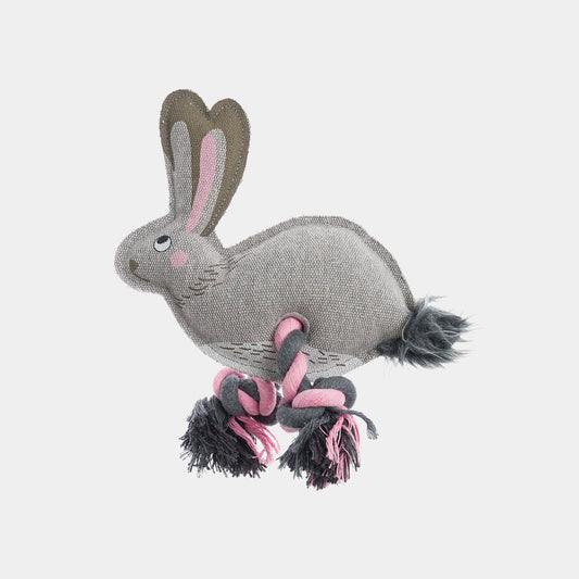 Hare Dog Toy with Squeaker