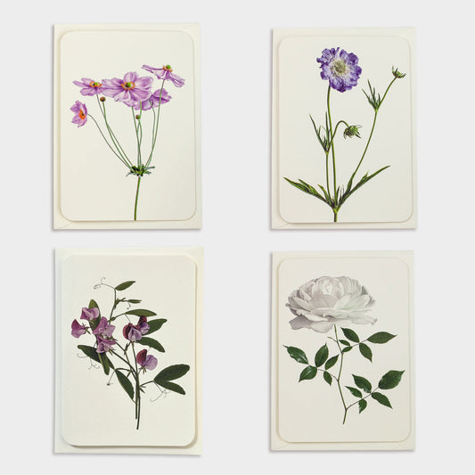 English Flower Collection Greeting Cards - set of 6