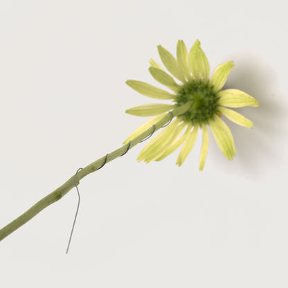 Forage Wire for Floral Arranging