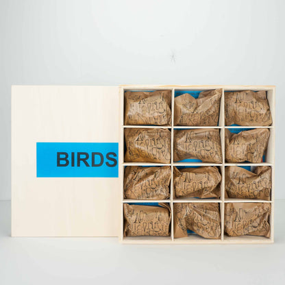 Handmade Wooden Bird Calls -Nests of America- Set of 12