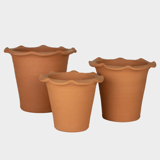 English Terracotta Frilly Pot