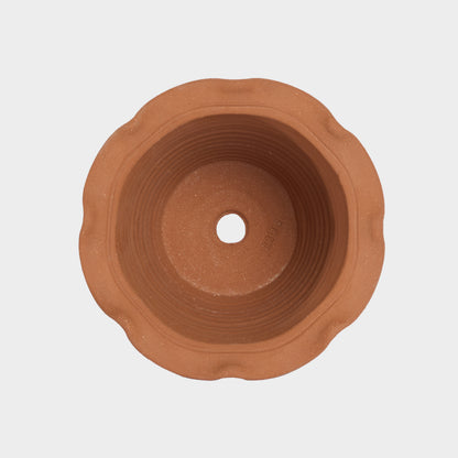 English Terracotta Frilly Pot