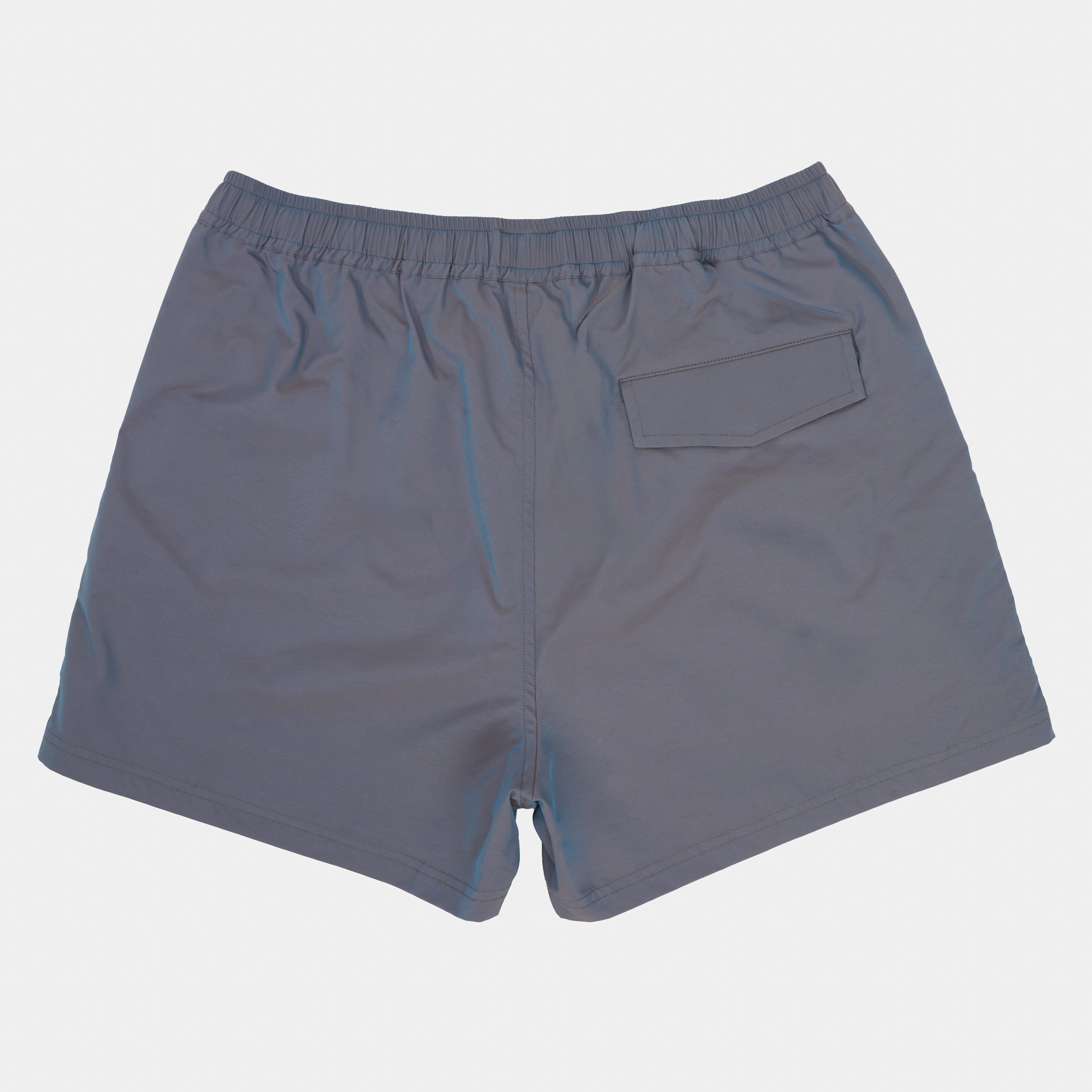 Iridescent Sport Short in Dragonfly – Gardenheir