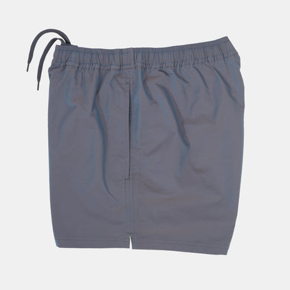 Iridescent Sport Short in Dragonfly