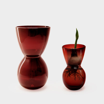 MOUTH BLOWN AMARYLLIS BULB FORCING VASES