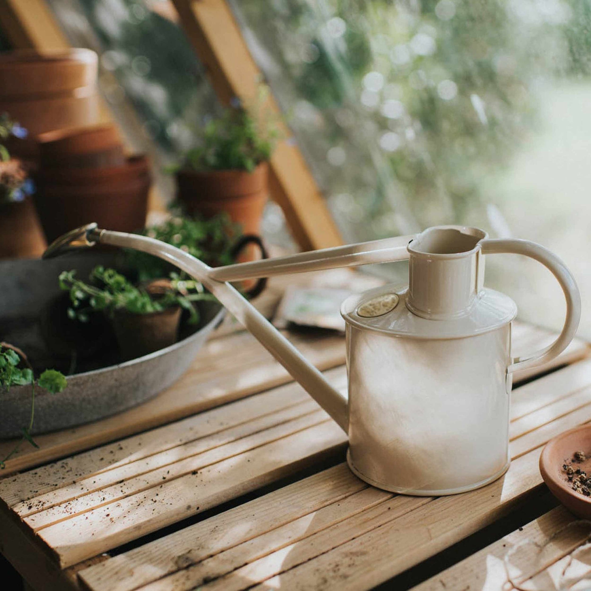 Haws England 1 Liter Metal Watering Can in Ivory