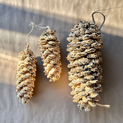 Seed Dipped Pine Cone Pair