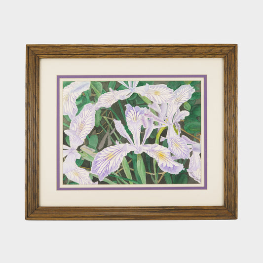 Vintage Watercolor of Irises