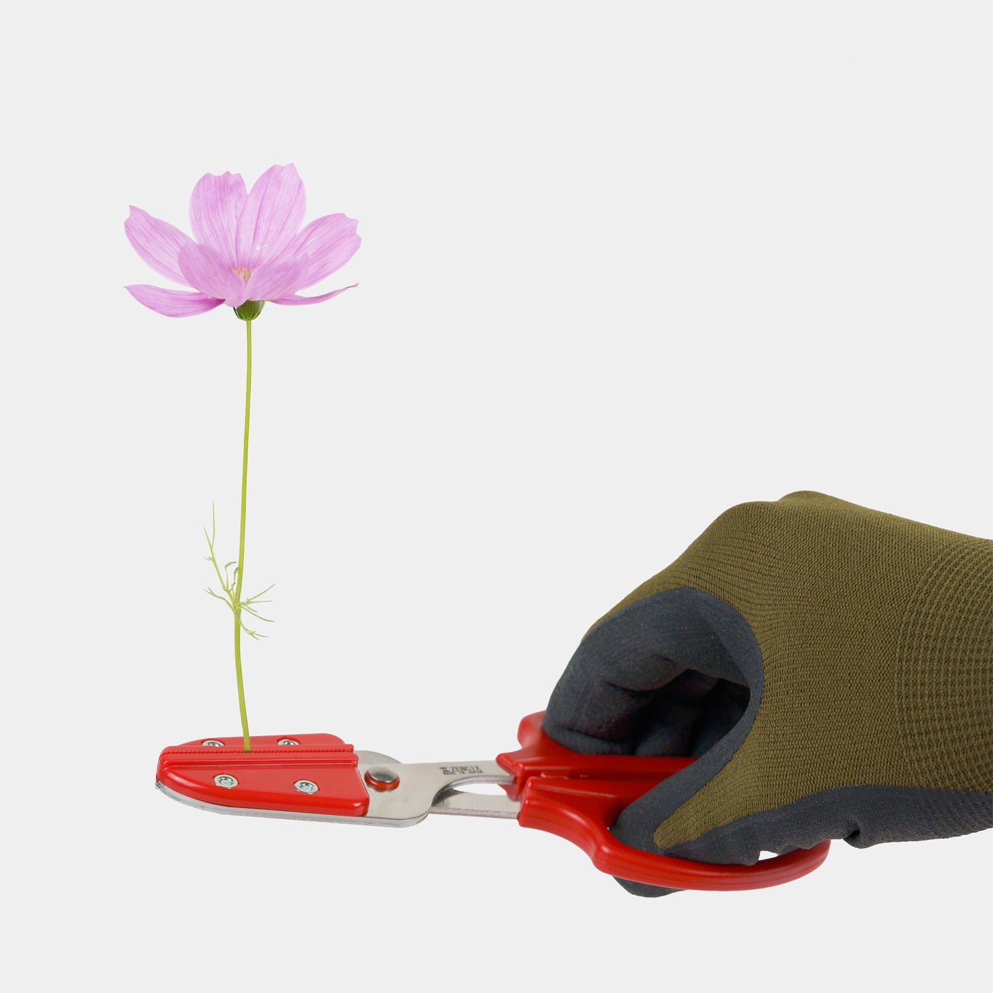 Japanese Flower Stem-Holding Scissors