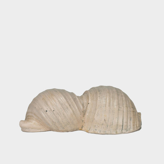 John Orth Siamese Shell Sculpture in Pale Pink, New York, 2022