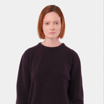 Himalayan Cashmere Classic Crewneck Sweater