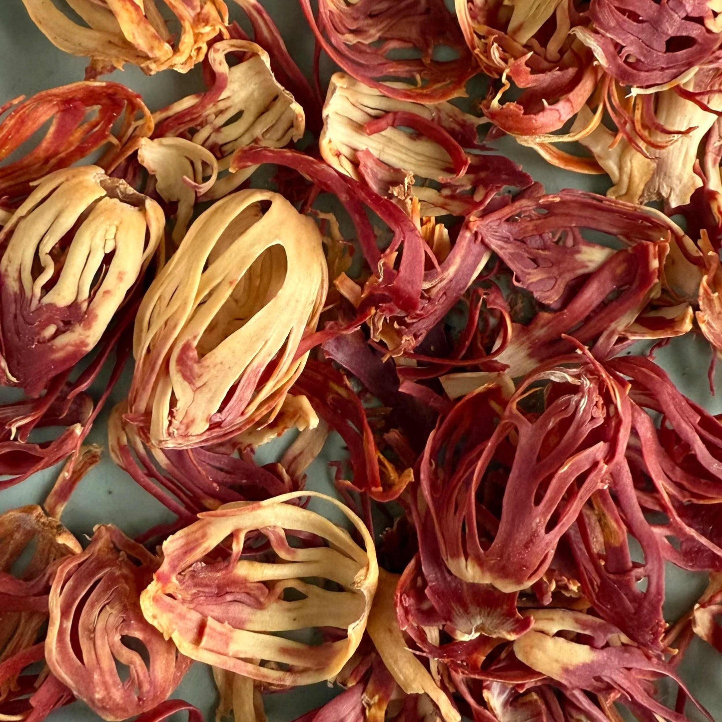 Exploration Trio Spice Set