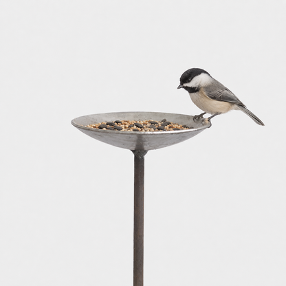 English Metal Bird Feeding Platform