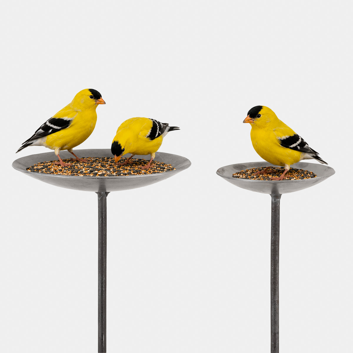 English Metal Bird Feeding Platform