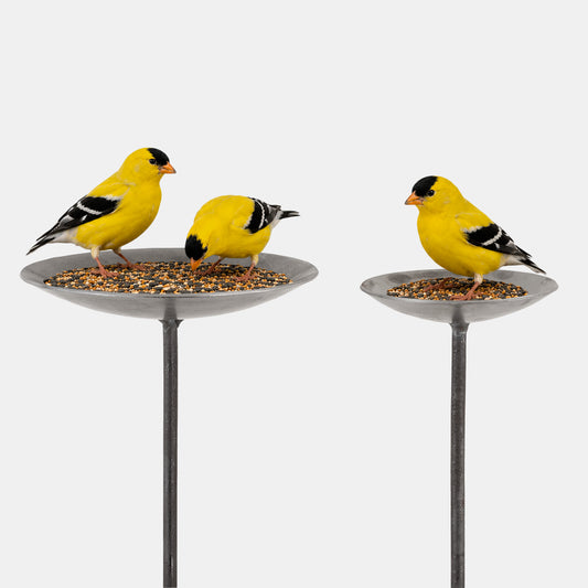 English Metal Bird Feeding Platform