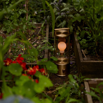 The Muse 2.0 Portable Lamp in Solid Brass