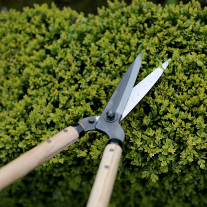 garden scissors nearby Niwaki Garden Shears