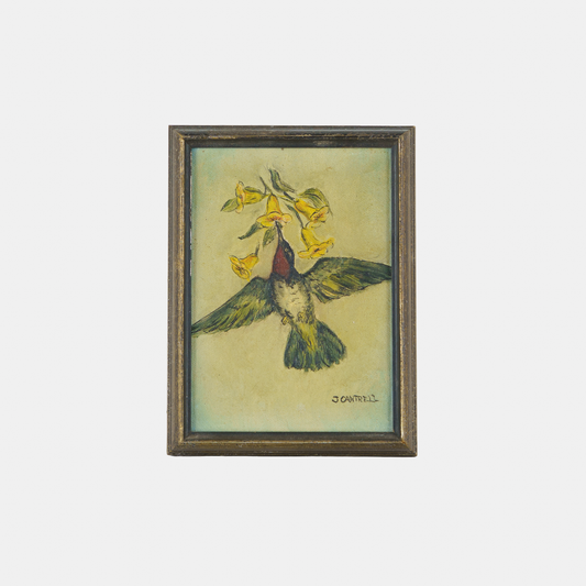Vintage Painting of Hummingbird