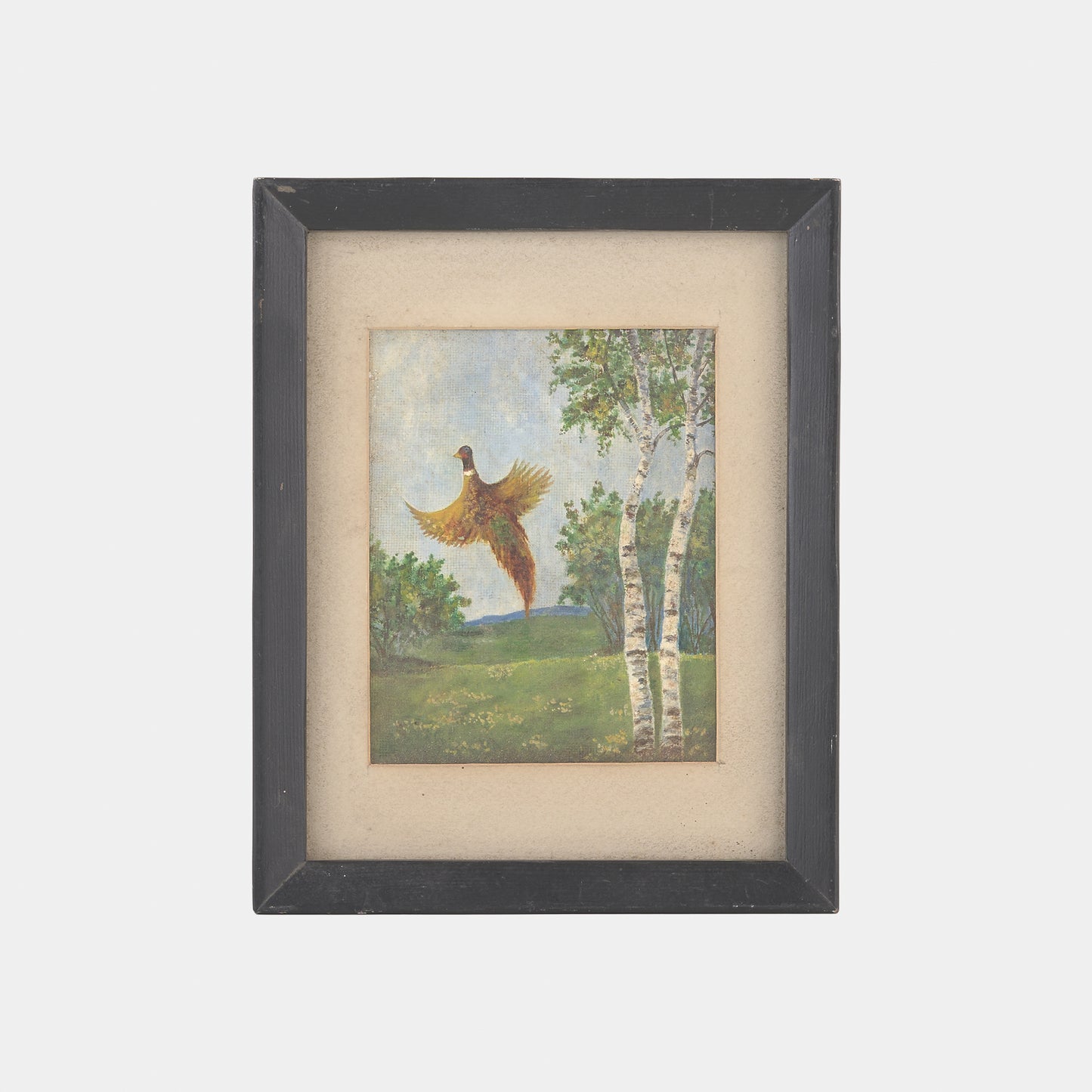 Vintage Painting of Pheasant