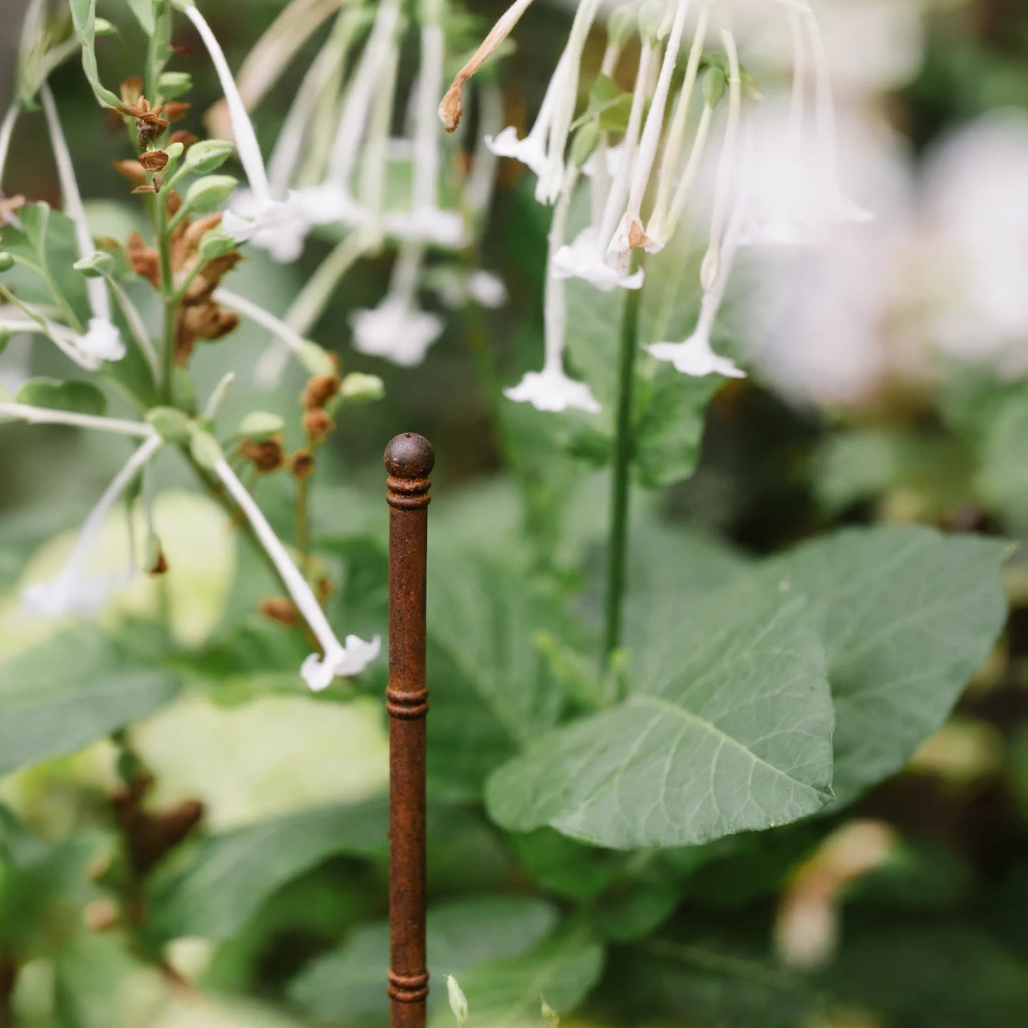 Pavilion Plant Stake (Set of 3)