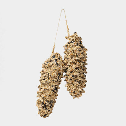 Seed Dipped Pine Cone Pair