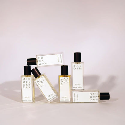 Jorum Eau de Parfum / Arborist