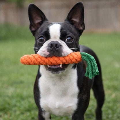 Handmade Carrot and Daikon Rope Dog Chew Toys