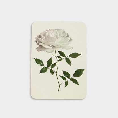 English Flower Collection Greeting Cards - set of 6