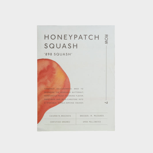 Row 7 Organic Honeypatch Squash Seeds