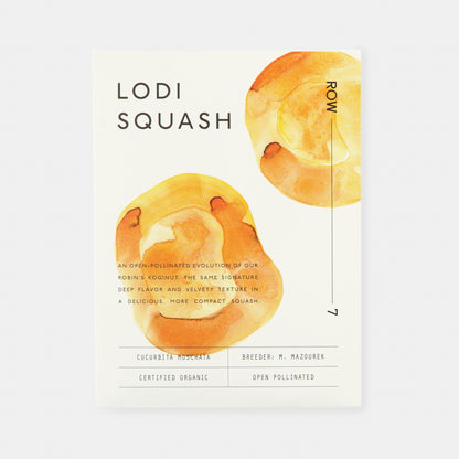 Row 7 Organic Squash Trio