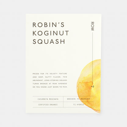 Row 7 Organic Squash Trio