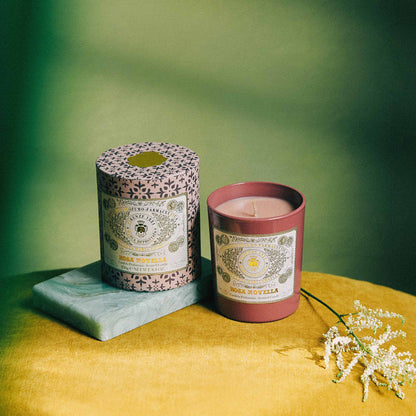 Santa Maria Novella Rosa Novella Candle